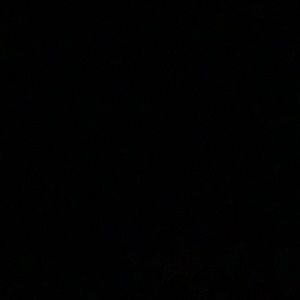 Meet your Posher, Aimee